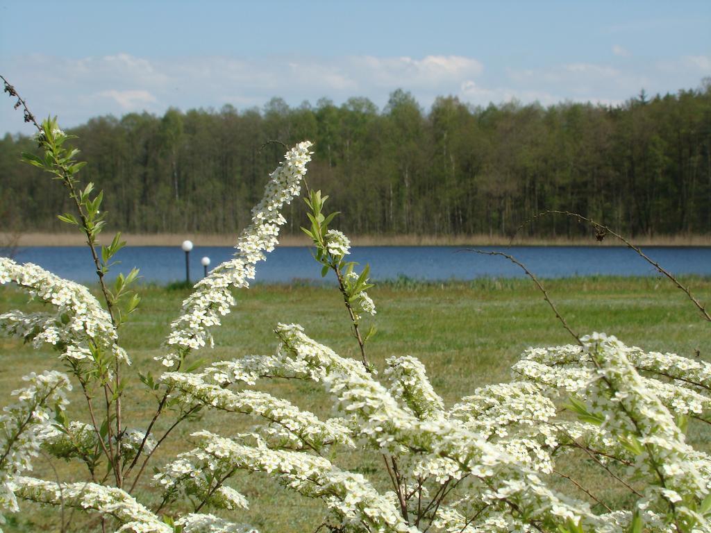 Bed and Breakfast Bobrowa Dolina Ryn  Esterno foto