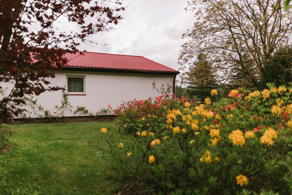 Bed and Breakfast Bobrowa Dolina Ryn  Esterno foto