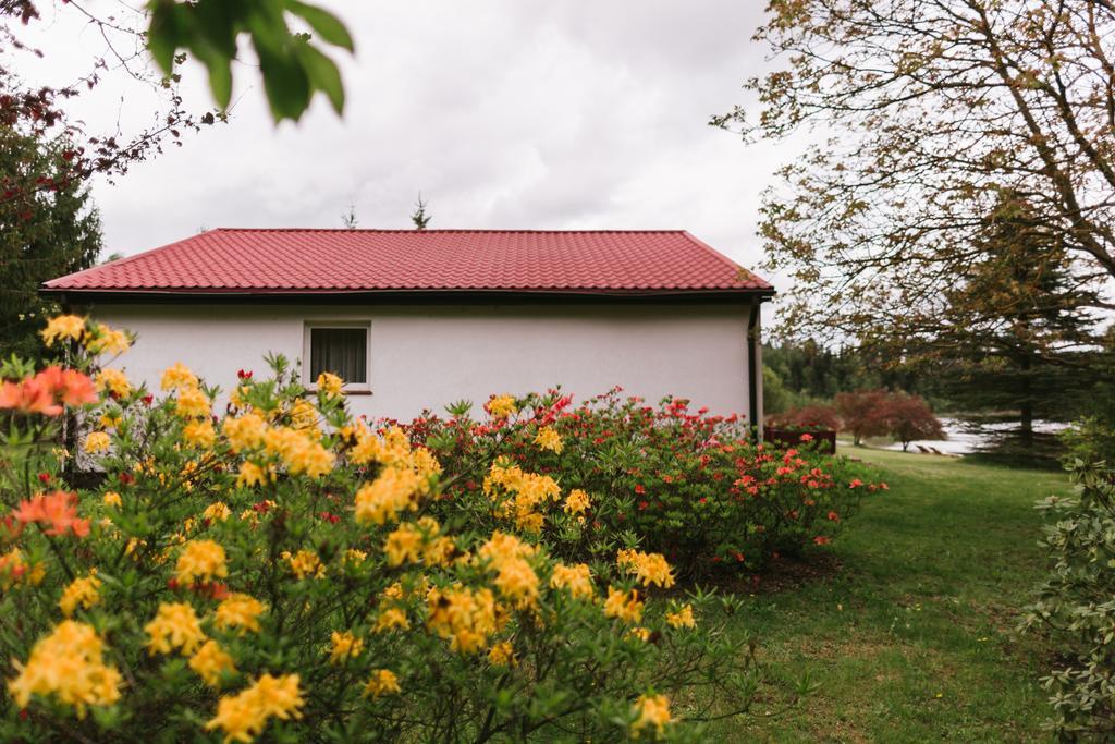 Bed and Breakfast Bobrowa Dolina Ryn  Esterno foto