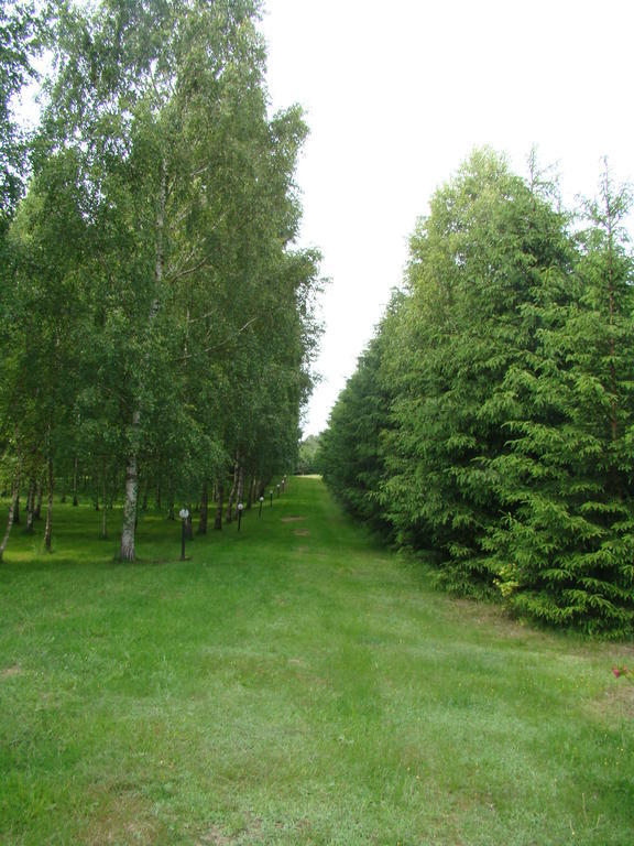 Bed and Breakfast Bobrowa Dolina Ryn  Esterno foto