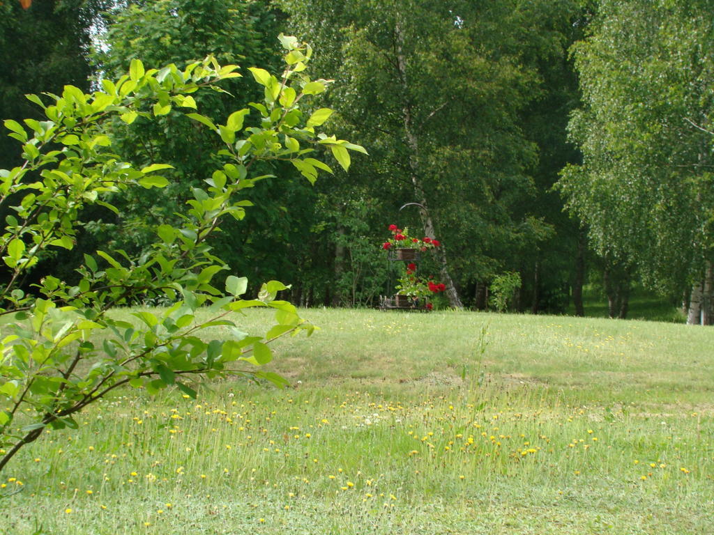 Bed and Breakfast Bobrowa Dolina Ryn  Camera foto