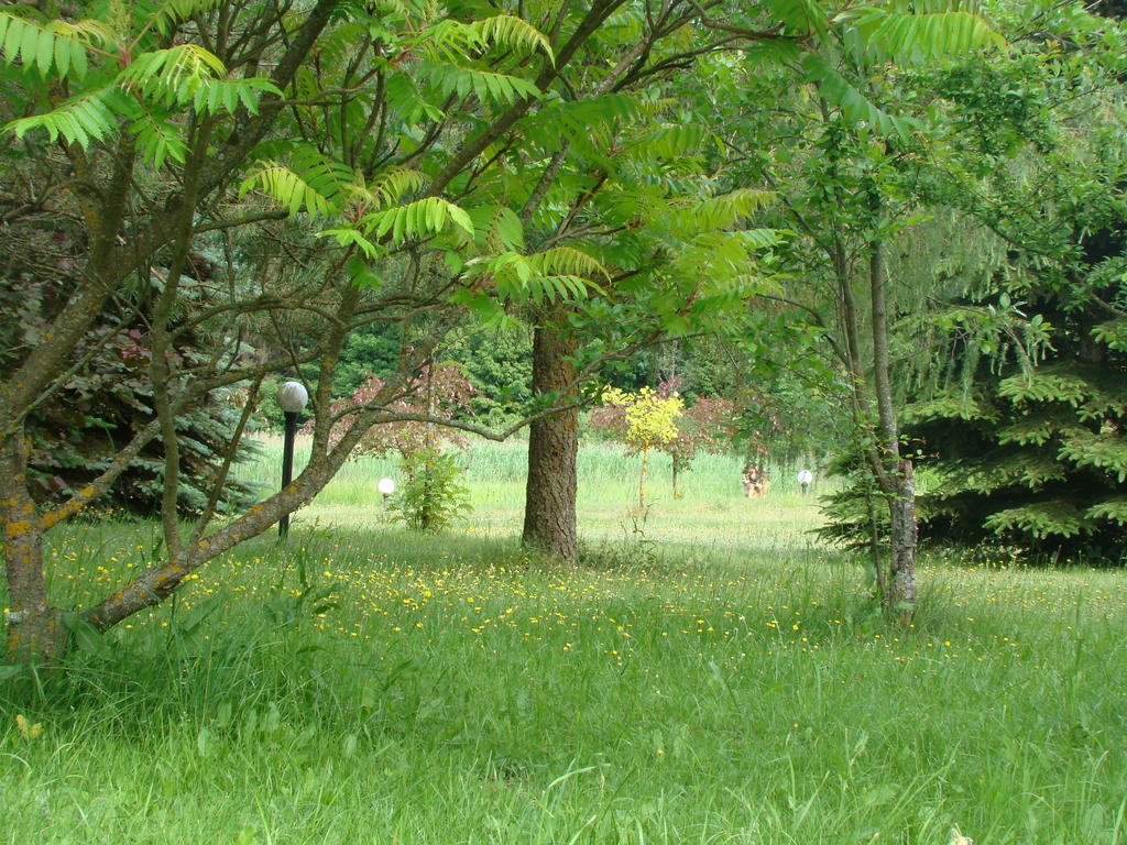 Bed and Breakfast Bobrowa Dolina Ryn  Esterno foto