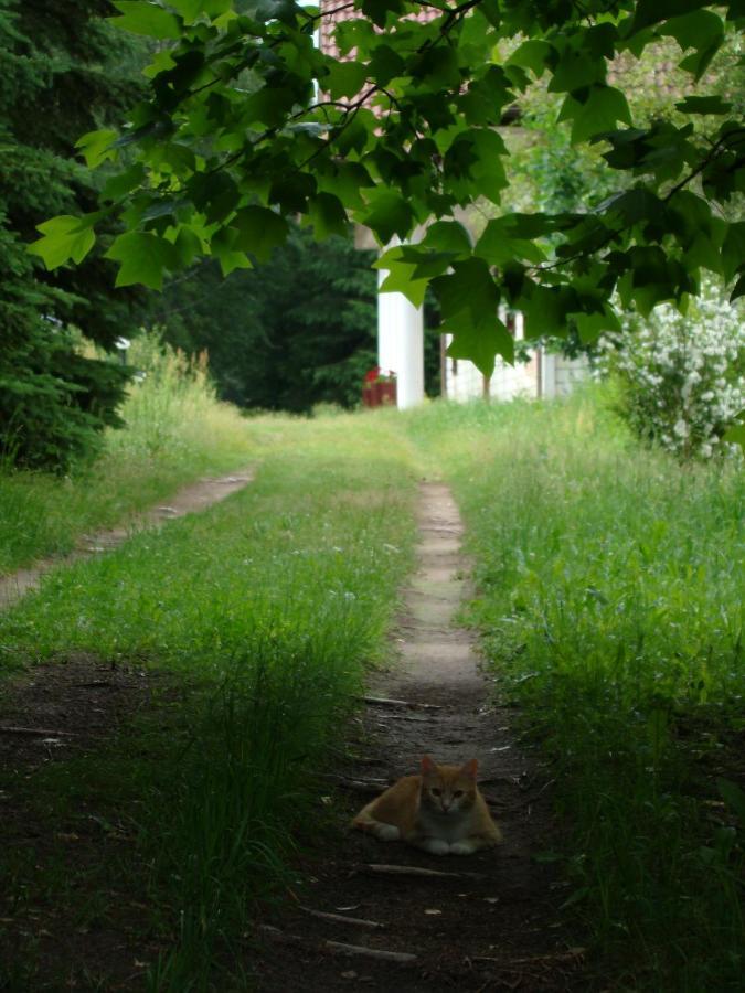 Bed and Breakfast Bobrowa Dolina Ryn  Esterno foto